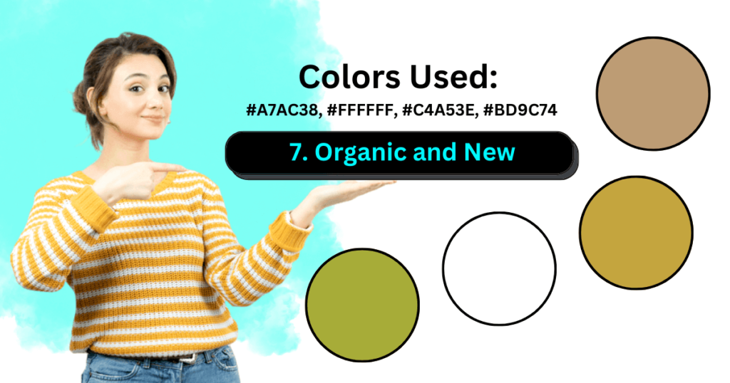 best Website Color Schemes
